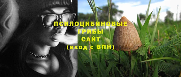 стафф Краснотурьинск