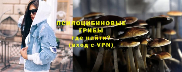 стафф Краснотурьинск