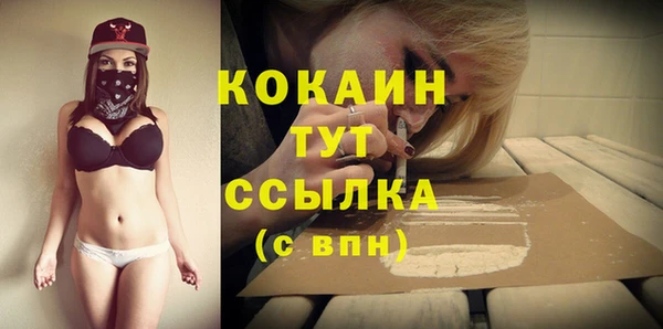 стафф Краснотурьинск