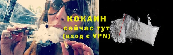винт Краснослободск