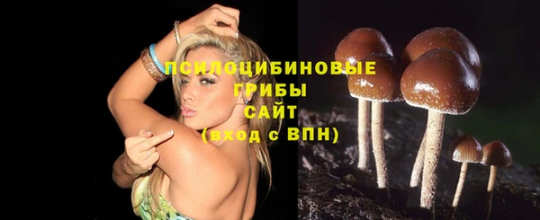 винт Краснослободск