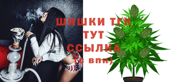 винт Краснослободск