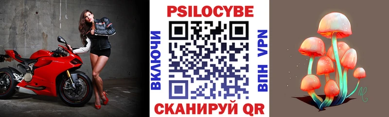 Псилоцибиновые грибы Cubensis  Купить где  Нижний Ломов 